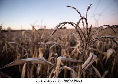 Cold front hits the state of Paraná