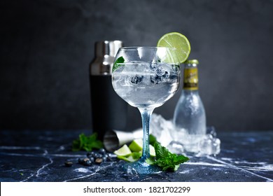 Cold Gin Tonic With Lime And Blueberries