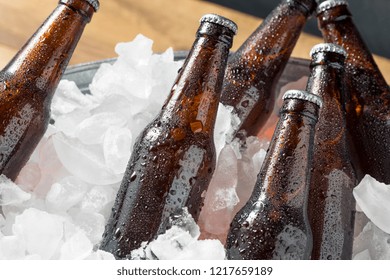 Cold Beers in Bucket Royalty-Free Stock Photo