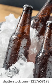 Cold Icy Beer Bottles In A Cooler With Ice