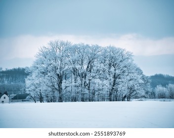 cold mist and dead tree in winter morning - Powered by Shutterstock