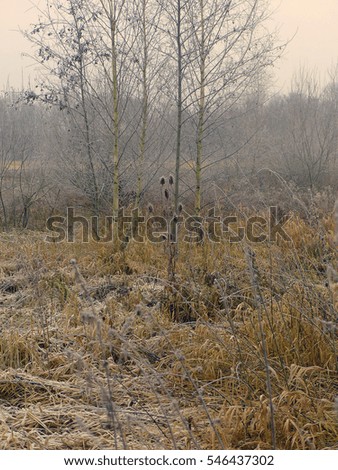 Similar – Verlaufen Umwelt Natur