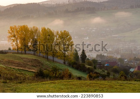 Similar – Foto Bild Herbstkälte Natur Pflanze