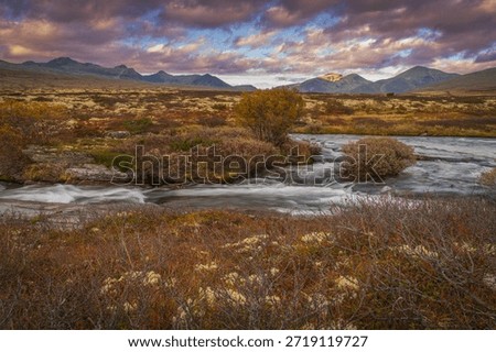 Cold mountain river cutting through autumn tundra with shrubs and moss, surrounded by vast highland landscape and dramatic clouds in Rondane National Park, Norway.