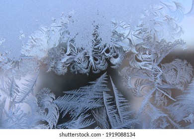 Cold pattern on the window glass