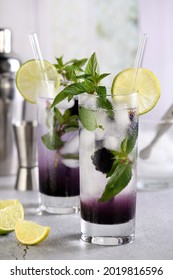 Cold Refreshment Organic   Cocktail Blackberry Mojito With Berry Fruit In Glass