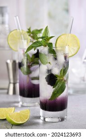 Cold Refreshment Organic   Cocktail Blackberry Mojito With Berry Fruit In Glass