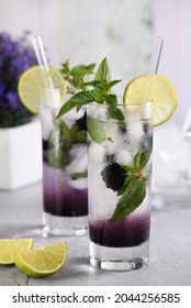 Cold Refreshment Organic Non-alcohol Cocktail Blackberry Mojito With Berry Fruit In Glass