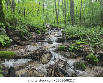 A cold rushing mountain stream.