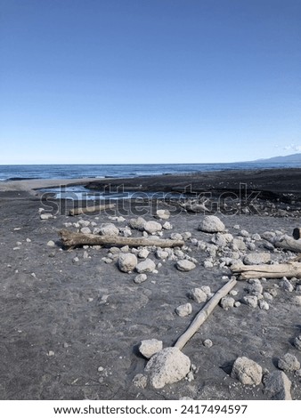 A cold sea meets the serene expanse of gray sands, where the beach is adorned with the remnants of fallen tree trunks. Various-sized stones dot the shoreline, creating a visual harmony 