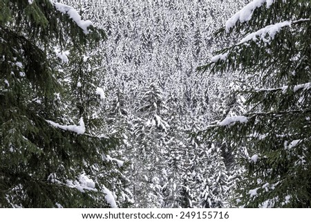 Similar – Winter in the Giant Mountains near Pec pod Snezkou, Czech Republic