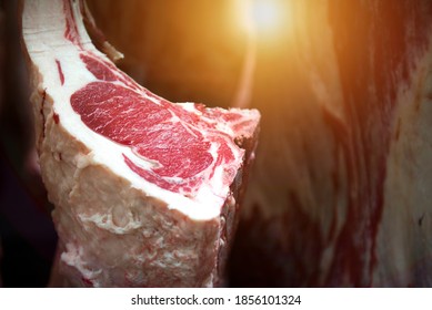 In the cold storage meat industry, Japanese wagyu beef is cut and hung on a hook in a wagyu beef stall.