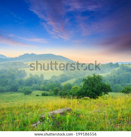 Similar – Image, Stock Photo Landscape in the morning