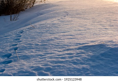 Cold Sunny Winter Morning With Footsteps On Snow.