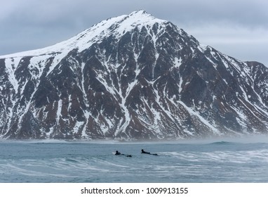 Cold Surfing Lofoten