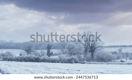 cold weather country europe frost frozen grass