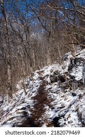 Cold Weather Hiking The Appalachian Trail In Eastern United States