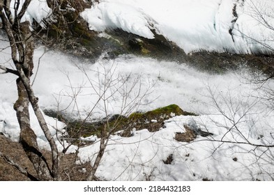 Cold White Snow Landscape With Dead Trees Along The River