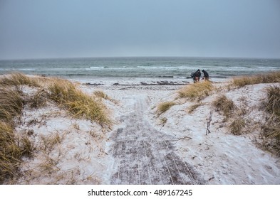 Cold Winter Beach With Yellow Grass And Sand.