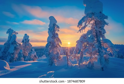 Cold Winter Day Sunset Landscape With Snowy Trees. Photo From Sotkamo, Finland. Background Heavy Snow View.	
