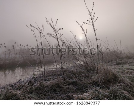 Similar – Verlaufen Umwelt Natur