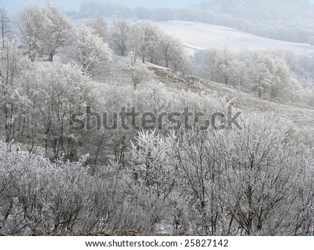 cold winter ladscape | background