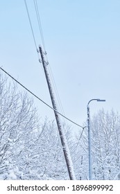 Cold Winter Power Line Poles