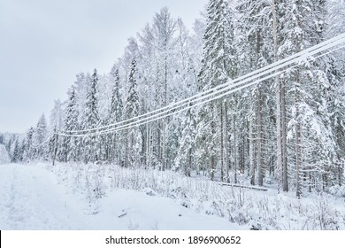 Cold Winter Power Line Poles