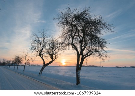 a cold winterday