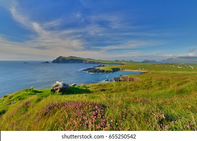 Colgher Strand On Dingle Peninsula