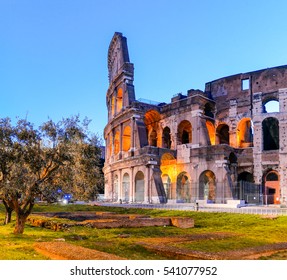 Coliseum at dawn. Rome, Italy