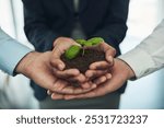 Collaboration, hands and business people with plant in soil for unity, team and support in company growth. Sustainable, eco friendly and group of employees with leaf sprout in fertilizer for startup.