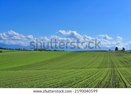 Collaboration scenery of Tokachi mountain range in the blue sky background and vast fields seen in Biei hills at Hokkaido
