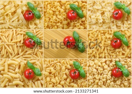 a collage of 9 different types of pasta, decorated with basil and tomato