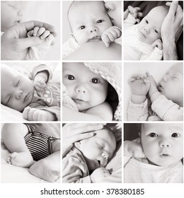 Newborn Baby Collage Hd Stock Images Shutterstock