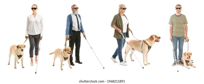 Collage of blind people with guide dog on white background