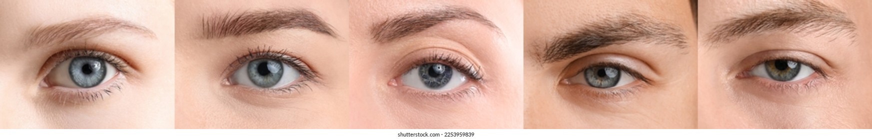 Collage with blue eyes of different people, closeup - Powered by Shutterstock