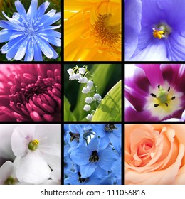 花 コラージュ の画像 写真素材 ベクター画像 Shutterstock