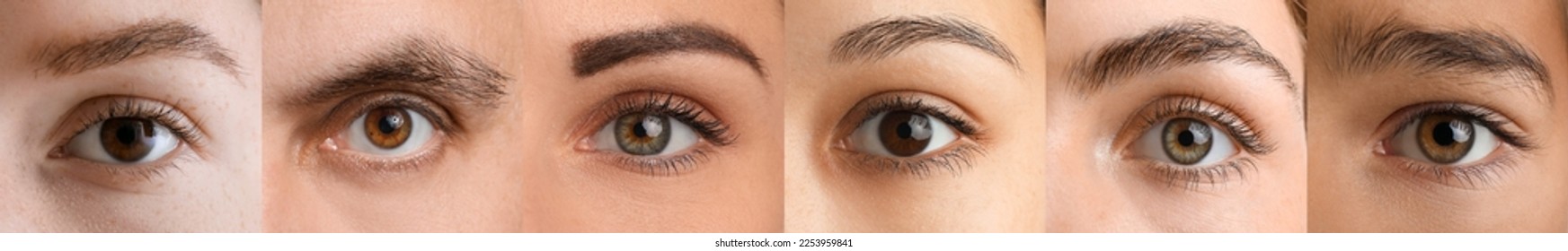 Collage with brown eyes of different people, closeup - Powered by Shutterstock