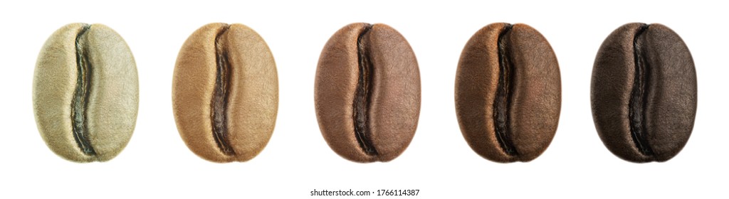 A Collage Of Coffee Beans Showing Various Stages Of Roasting From Green Beans Through To Italian Roast