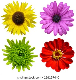 collage with colorful flowers isolated - Powered by Shutterstock