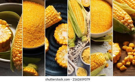 Collage of corncobs and corn groats. Harvest food concept. 