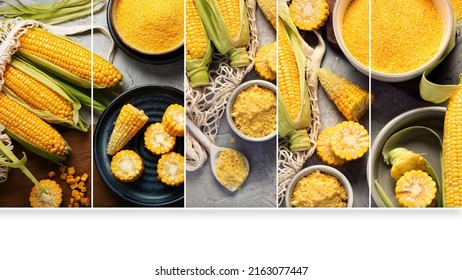 Collage of corncobs and corn groats. Harvest food concept. 