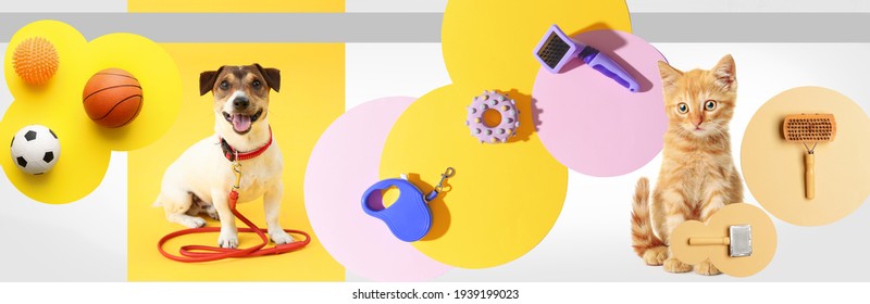 Collage of cute cat and dog with pet accessories on color background