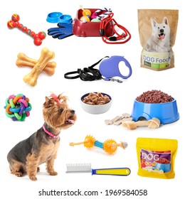 Collage Of Cute Funny Dog And Different Pet Accessories On White Background