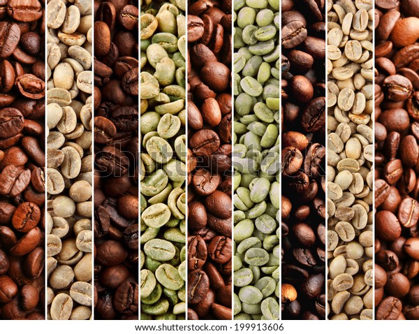 Collage Different Coffee Beans Stock Photo 199913606 | Shutterstock