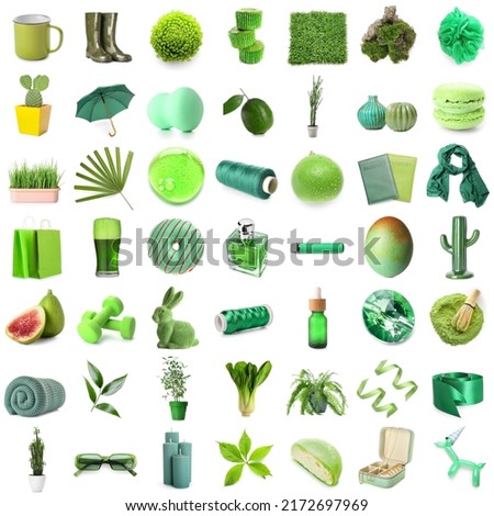 Collage of different green items on white background