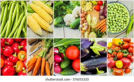 Collage of different vegetables. Vegetarian food. 