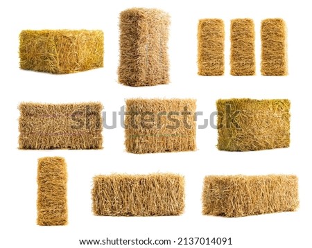 collage dry haystack isolated on white background
