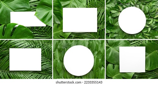 Collage of empty cards with green leaves, top view